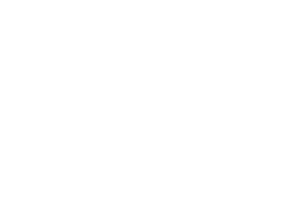 poliform logo